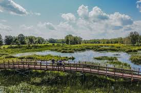 “Plaisance : Saisie de grandes quantités de drogues nuisibles d’une valeur de 194,2 millions de roupies, un coup dur pour la sécurité publique”
