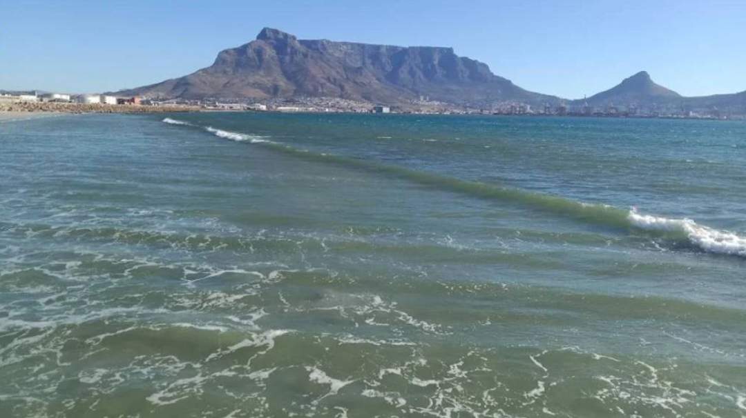 Cape Town water quality: 5 alarming truths from new study