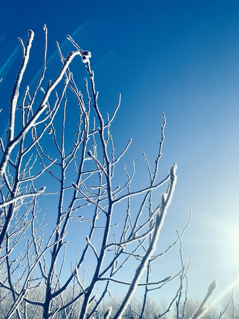 Gauteng rising temperatures weather forecast signals climate shift