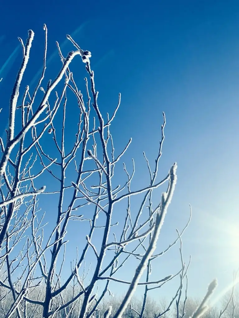 Gauteng rising temperatures weather forecast signals climate shift