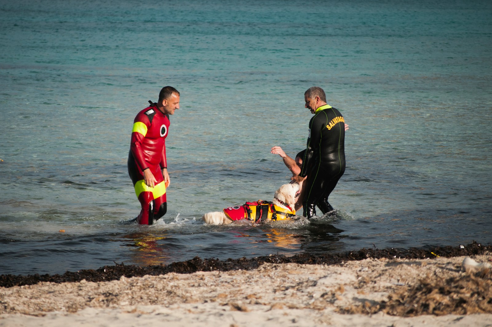 Rescue Crews Recover Drowning Victim Harrison Lagoon Agassiz RCMP: 5 Powerful Truths Behind the Tragedy