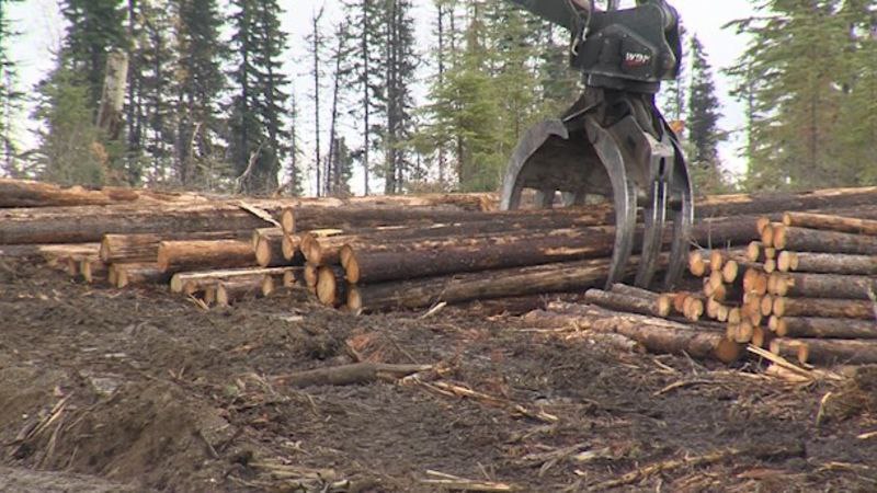 BC Timber Sales Program Sees Significant Expansion