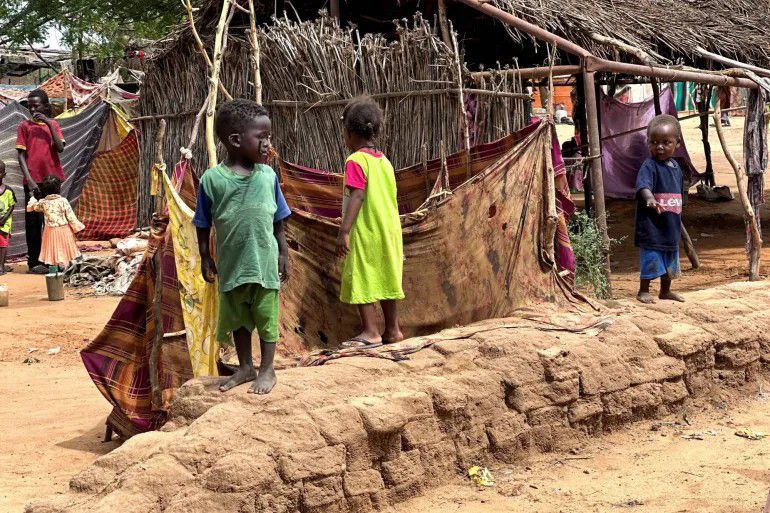 Darfur crisis
