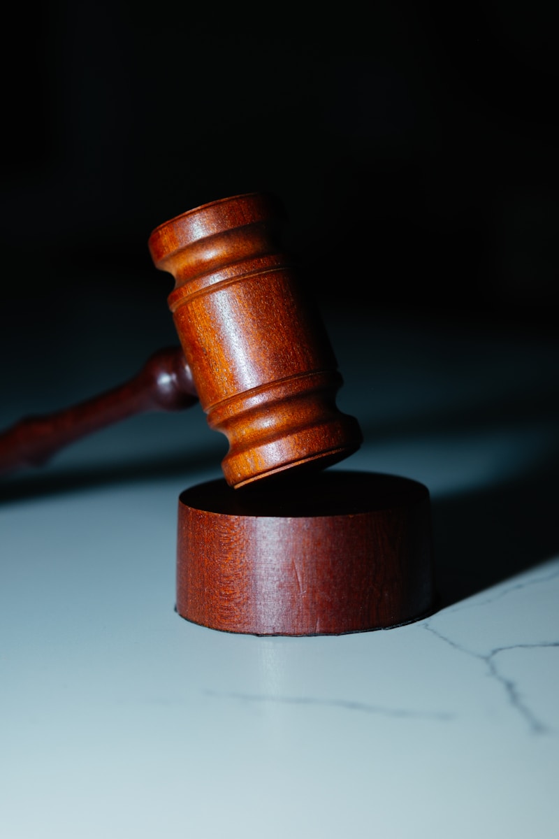 Julius Malema testimony: a wooden gaven sitting on top of a white counter